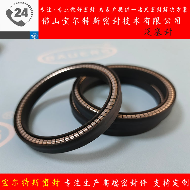 活塞杆H型特康泛塞封RVE真空密封圈