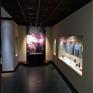 博物馆玻璃展柜壁龛字画展柜冷轧钢板展柜制作