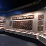 惠州博物馆展柜沿墙柜古物字画展厅展览柜色剂定制