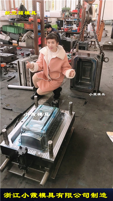长方形半封闭猫厕所模具供应商