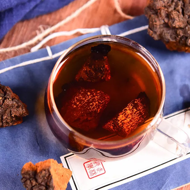 桦褐孔菌代用茶 桦褐孔菌代加工  白桦茸代加工  桦褐孔菌oem