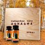 白桦茸代用茶价格 白桦茸精粉代加工 桦褐孔菌精粉厂家