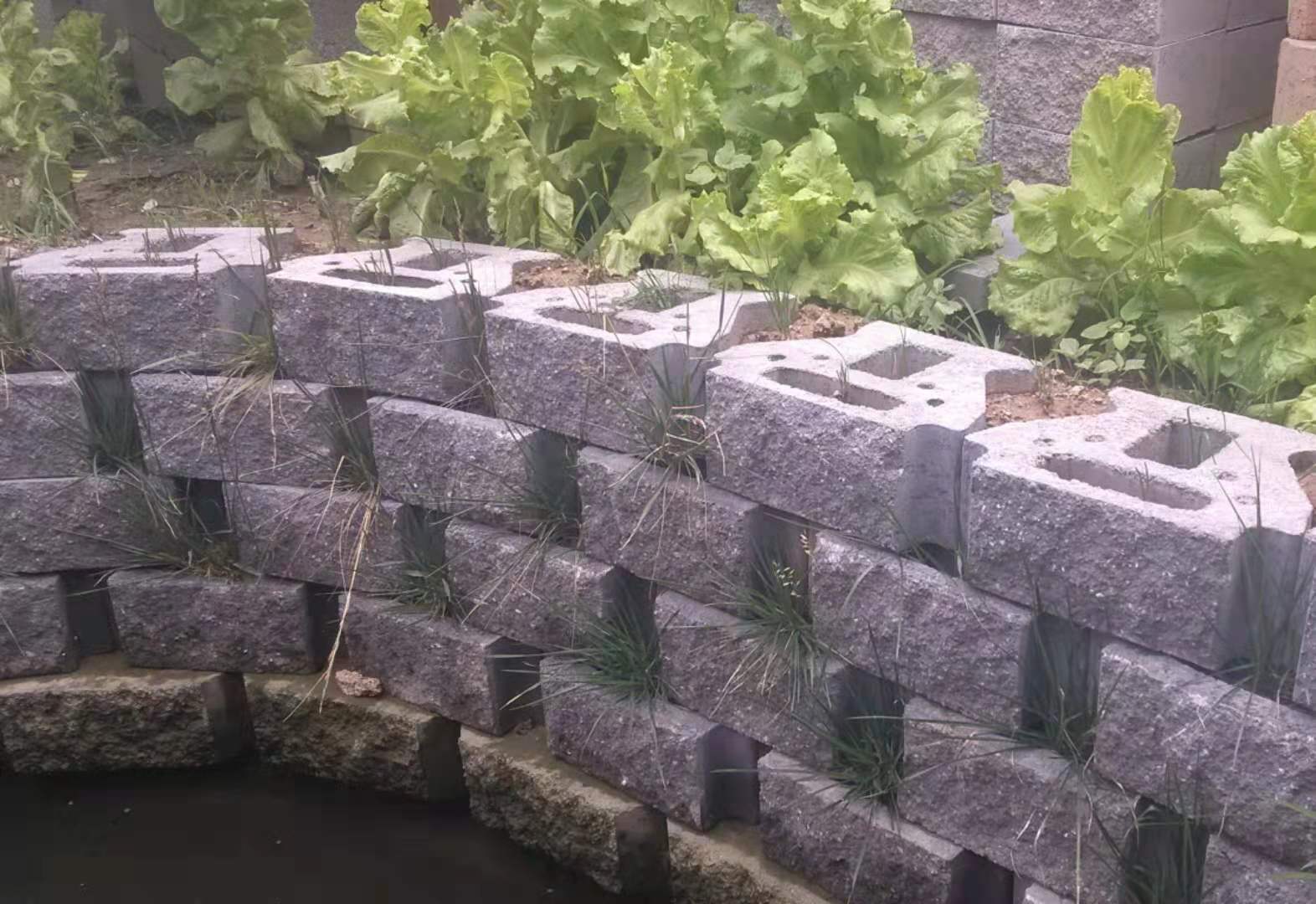 河北鱼巢砖生产销售厂家  玉田鱼巢砖  玉田林西鱼巢砖  玉田林南仓鱼巢砖