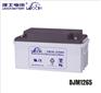 理士DJM1265 12V65AH 铅酸免维护蓄电池 UPS