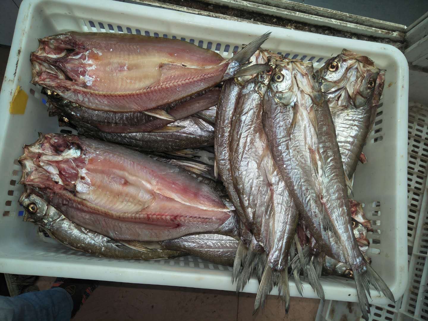 低温冷风烘干除湿干燥机  水产品干燥机