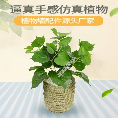 仿真植物爬山虎把束叶子室内装饰假绿植盆栽植物墙配材