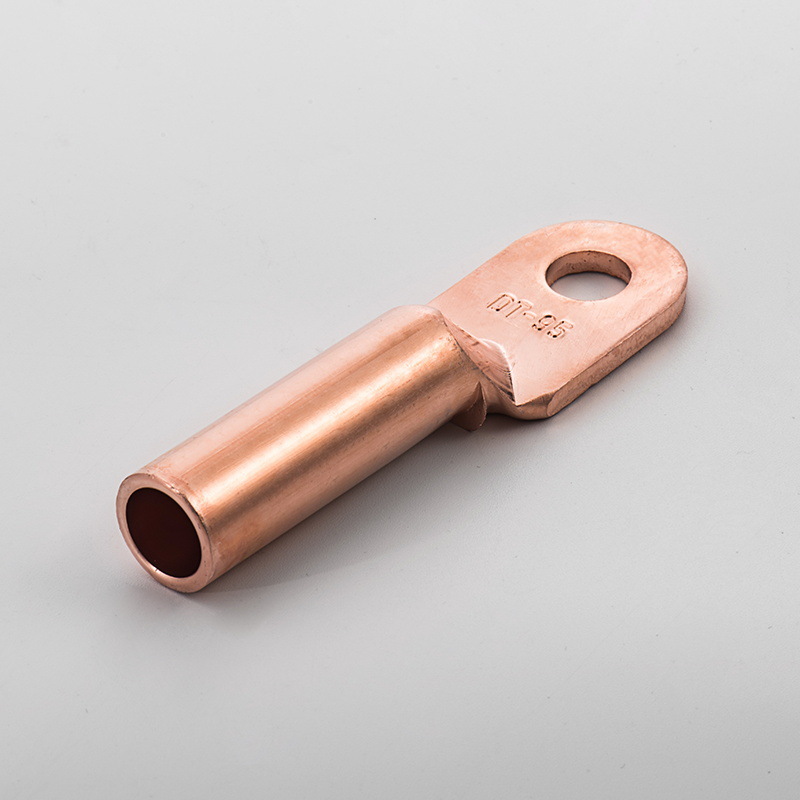 DT2-25-400mm双孔铜鼻子 DTS（酸洗) 国标双孔  定做铜鼻子  非标定做  铜端子