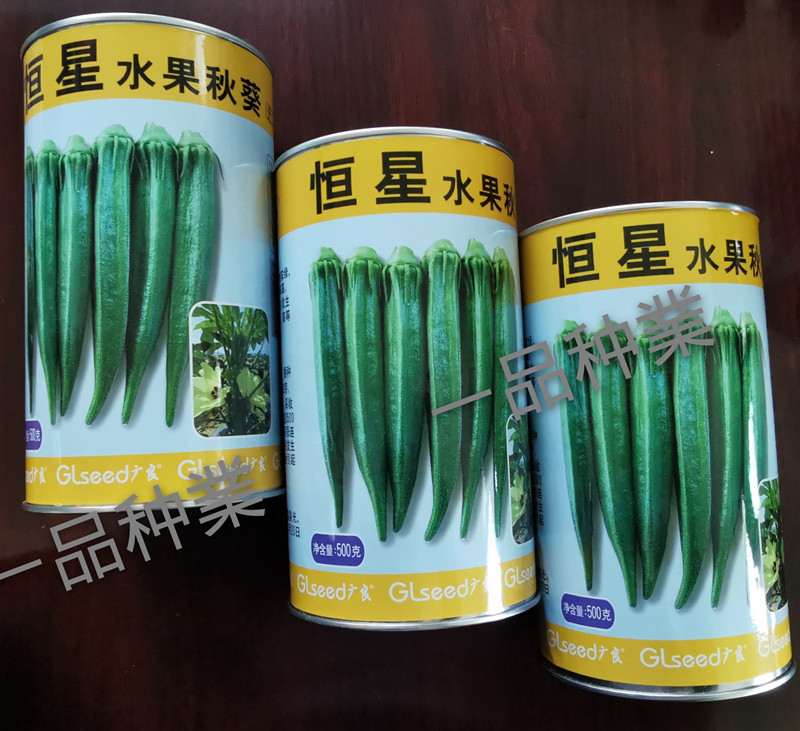 恒星水果秋葵种子  恒星秋葵种子  黄秋葵种子