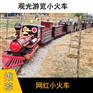 电动网红骑乘式小火车户外轨道小火车厂家