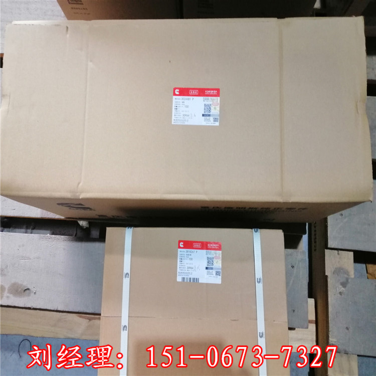 天津TSH200推土机水泵惰轮总成4914636  活塞环5405717  康明斯
