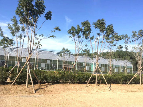 连栋温室大棚加工