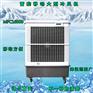 雷豹多功能移动冷风机 工业环保降温制冷空调