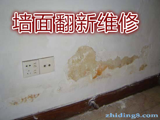 苏州专业墙面粉刷旧房翻新刮腻子墙面除霉掉皮裂缝修补 苏州墙面粉刷 苏州墙面刮白 苏州墙面防水