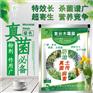 蔬菜瓜果叶霉病防治药剂_果树花卉害叶霉病微生物防治