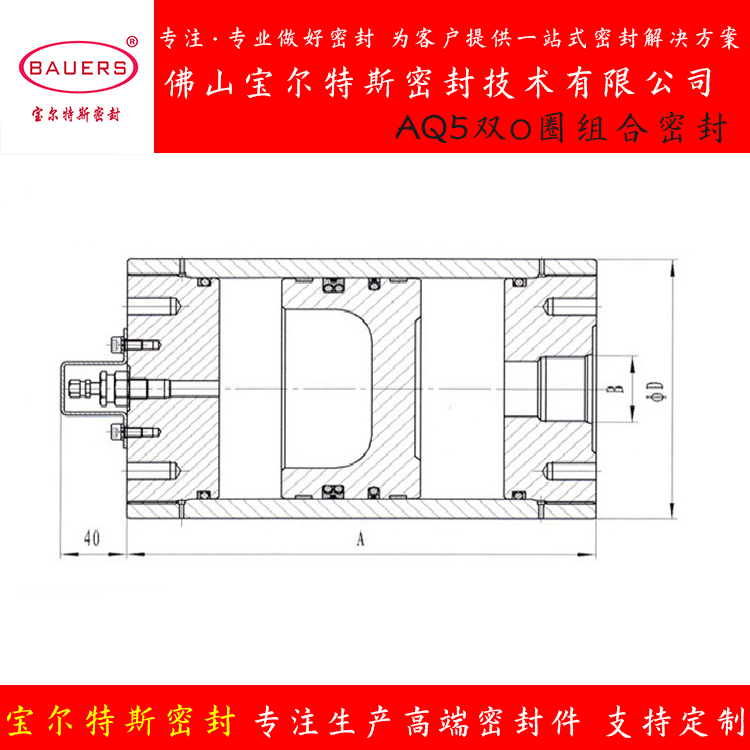 活塞式蓄能器密封圈油气分离密封BAQ5油封