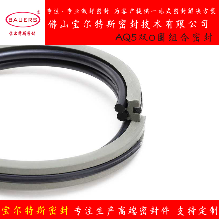 活塞式蓄能器密封圈油气分离密封BAQ5油封