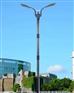 市政照明工程专用 路灯厂家
