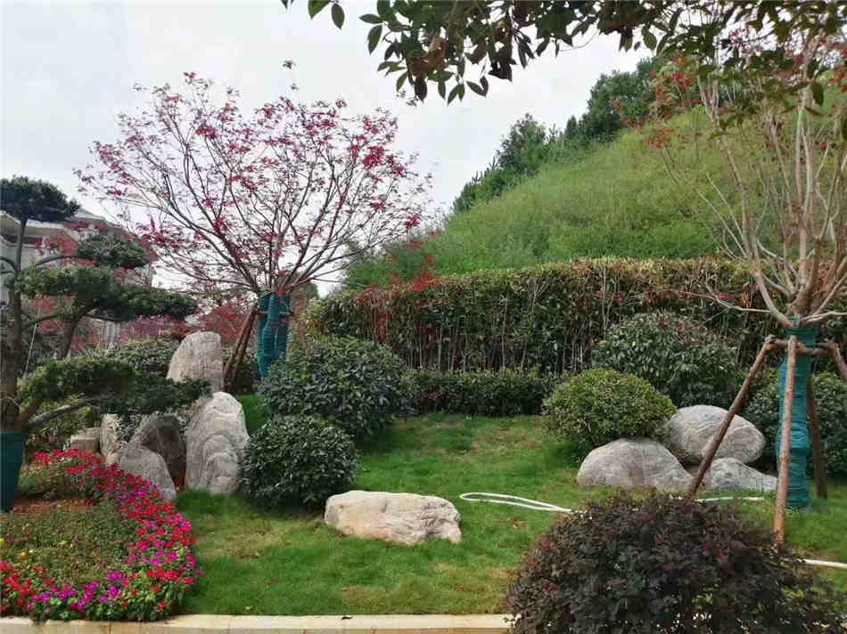 别墅地基风景绿化石 景观泰山石批发厂家 广东泰山石报价