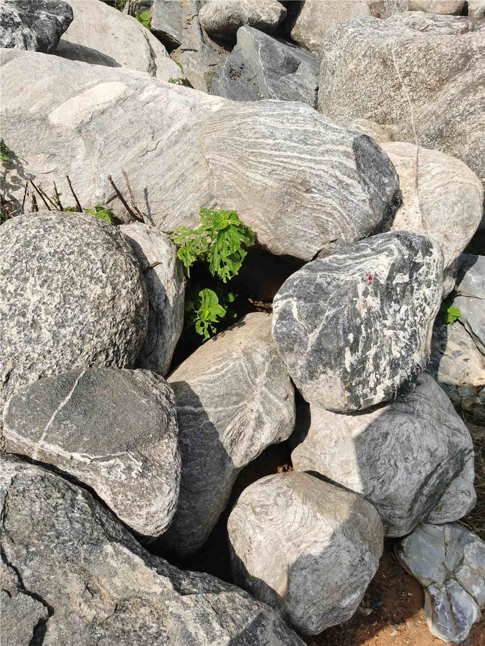 风景观赏石泰山石 厂家批发公园景石 园林泰山石供应商