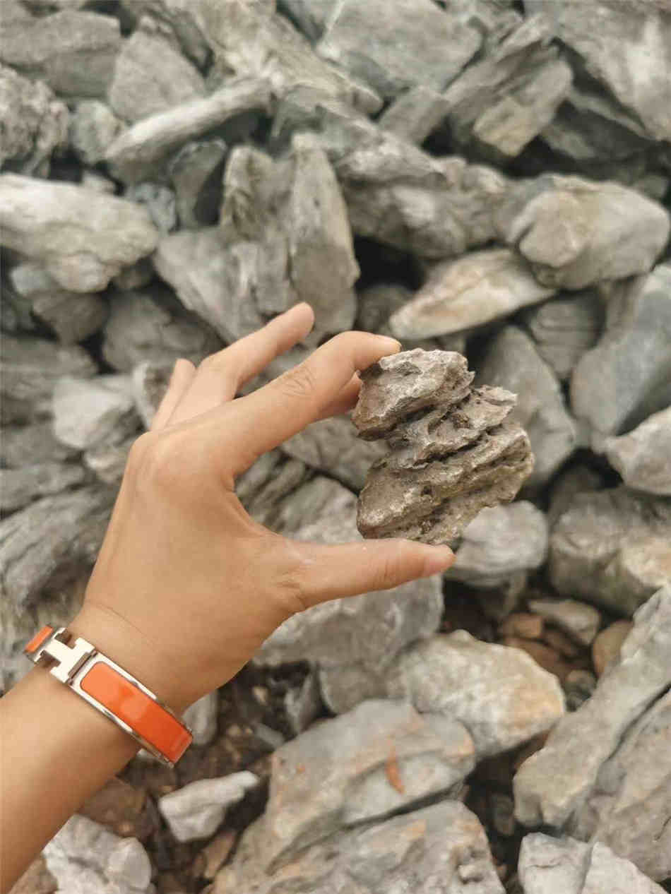 景观鱼缸石青龙石 小英德石厂家盆景假山 批发青龙石价格