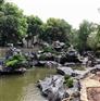 绿化风景石太湖石 公园景石庭院观赏石 水池打造制作石