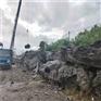大英德石假山石 公园庭院大型英石假山 大英石产地批发