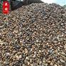 广东鹅卵石批发价格 铺路石污水处理材料 清远鹅卵石厂家