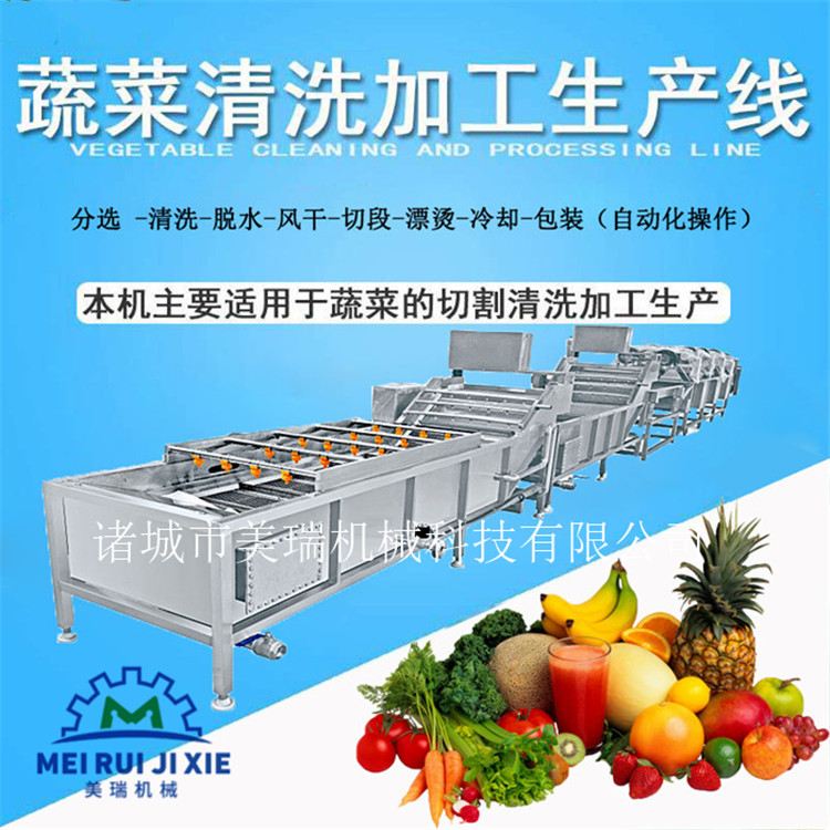 蔬菜清洗机流水线 人参喷淋清洗机  蔬菜清机流水线