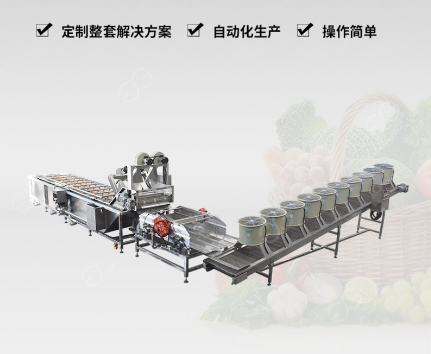 黄桃清洗流水线 全自动蔬菜清洗机 果蔬去杂清洗机