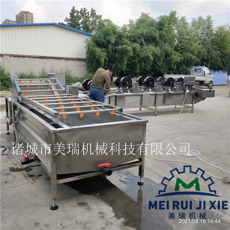 蔬菜清洗机流水线 人参喷淋清洗机  蔬菜清机流水线