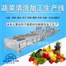 蘑菇菌类气泡清洗机 水果蔬菜清洗机 连续式蔬菜清洗机