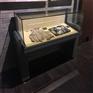 博物馆展柜厂家-隆城展示博物馆展柜制作-隆城博具