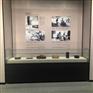 纪念馆展柜博物馆展柜定制厂家-隆城博具