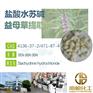盐酸水苏碱原料厂家现货 4136-37-2益母草提取物 库存