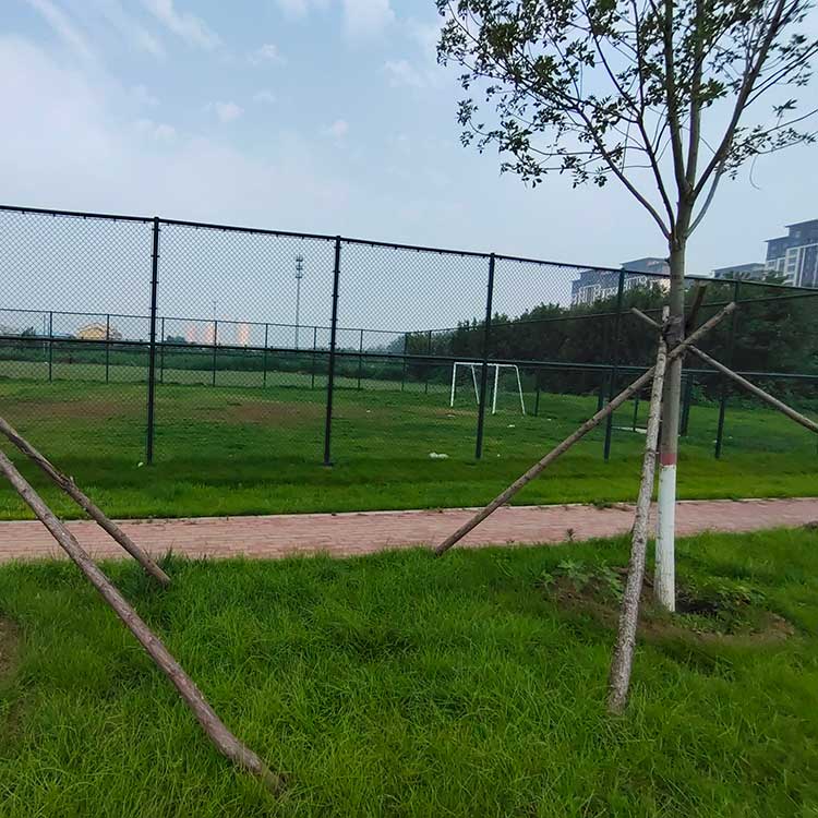 宝鸡市足球场围 球场防护网 勾花护栏网加工定制