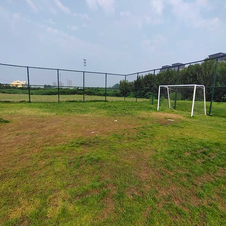 宝鸡市运动球场围网 框架隔离围网 菱形勾花网围栏