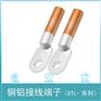 铝铜接线端子DLT-150 铝铜鼻子 线接头150mm平方