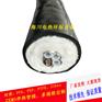 cems伴热取样管\SMB-FTH-D42-B2φ8-a-0