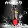 猪舍养殖污水排放泵RSF-2.4SA潜污泵
