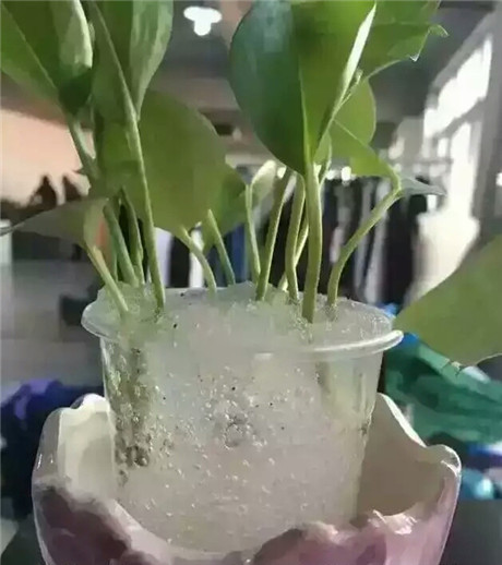 防汛高分子纳米吸水膨胀袋可自然完全分解无毒无害  防汛吸水膨胀袋  高分子吸水膨胀袋
