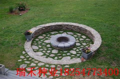 护坡撒哪种草种子好小区