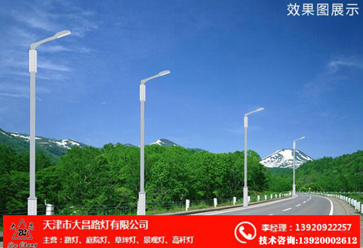 市政照明工程专用路灯厂家  天津照明