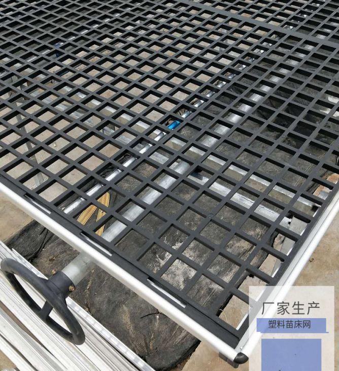 新型苗床网 蝴蝶兰养花专用苗床网 厂家直销  塑料苗床网  蝴蝶兰苗床网