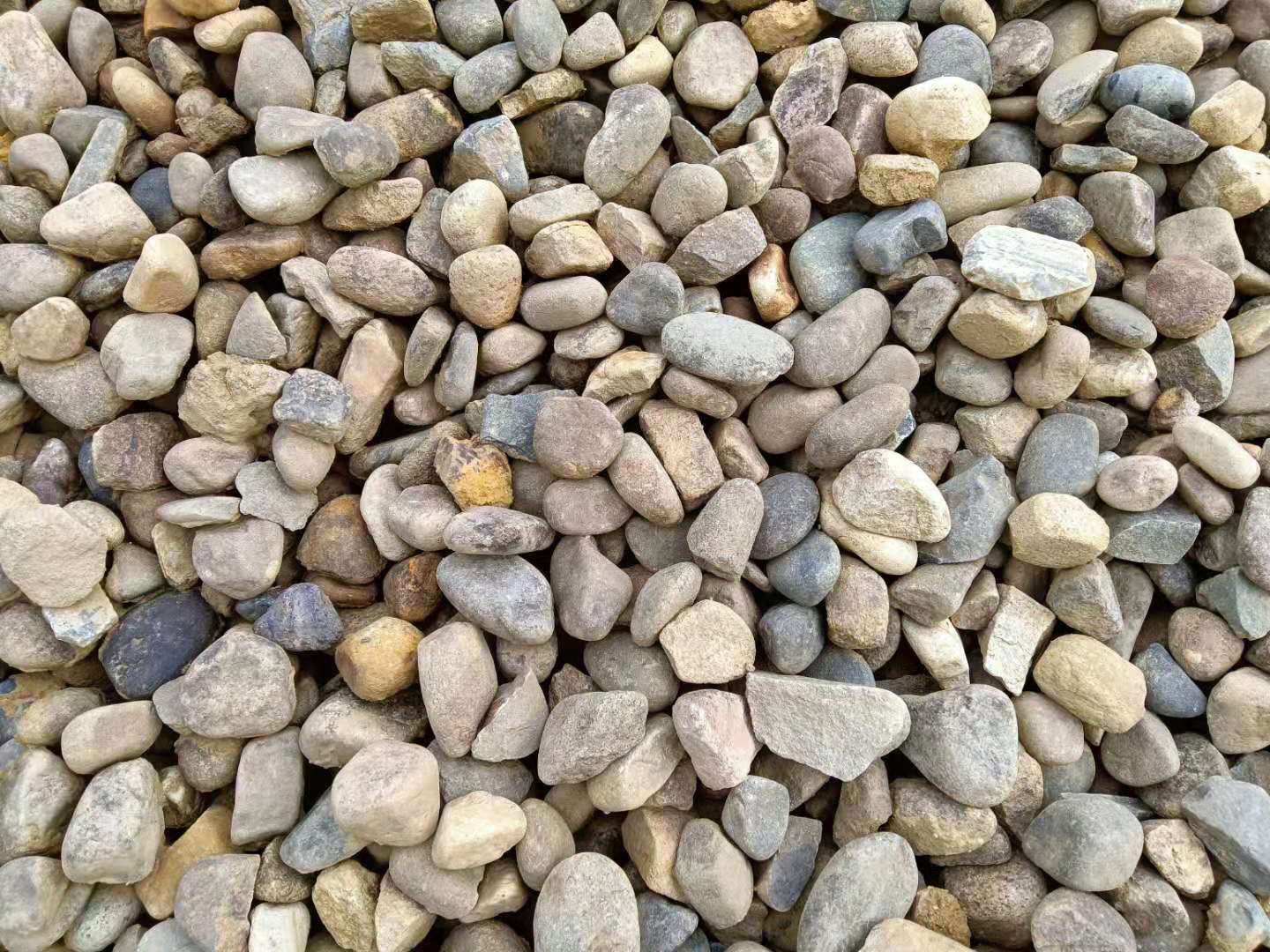 景观鹅卵石雨花石 杂色鹅卵石园林铺路石 卵石工程用料石