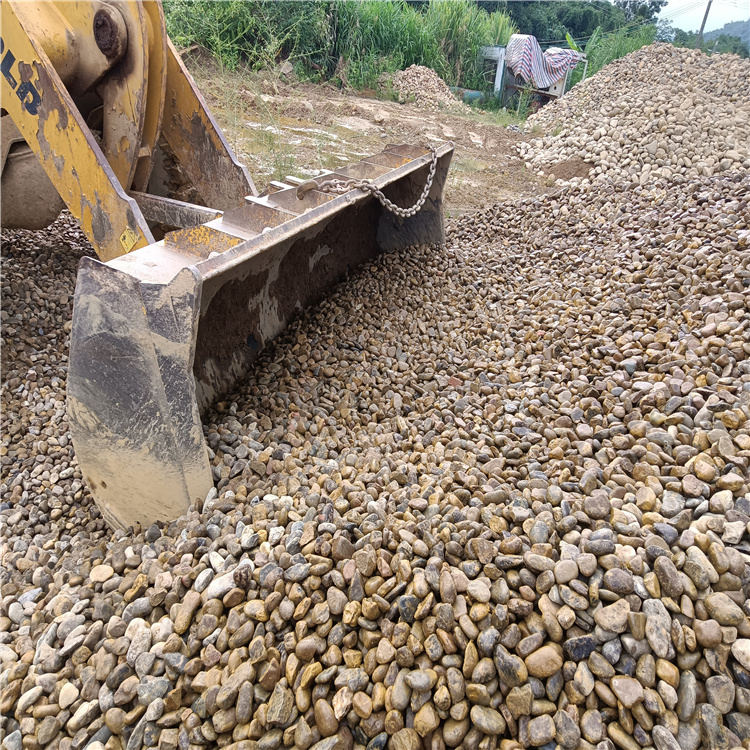景观鹅卵石雨花石 杂色鹅卵石园林铺路石 卵石工程用料石