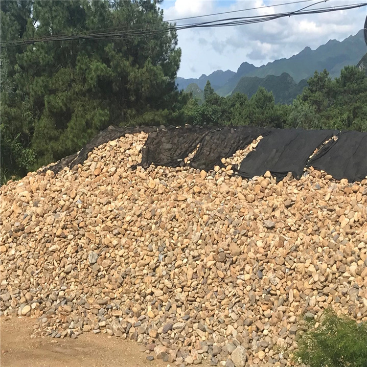 景观鹅卵石雨花石 杂色鹅卵石园林铺路石 卵石工程用料石