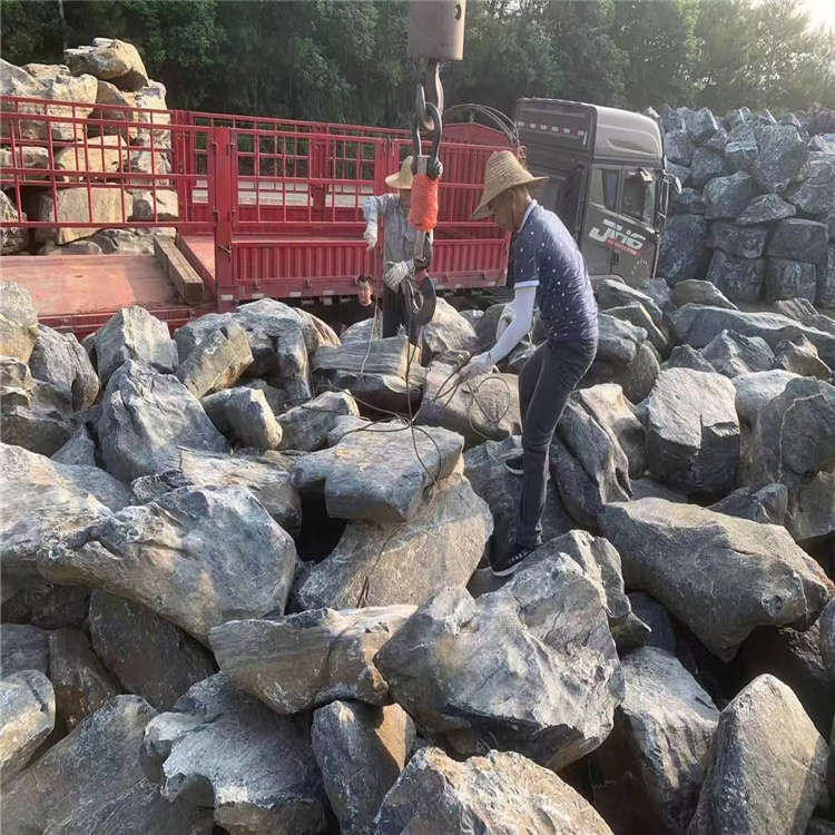 庭院太湖石池塘假山石 太湖石风景园林石 公园点缀景观石