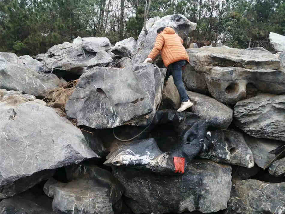 庭院景观假山石 公园草坪点缀观赏石 太湖石厂家园林石