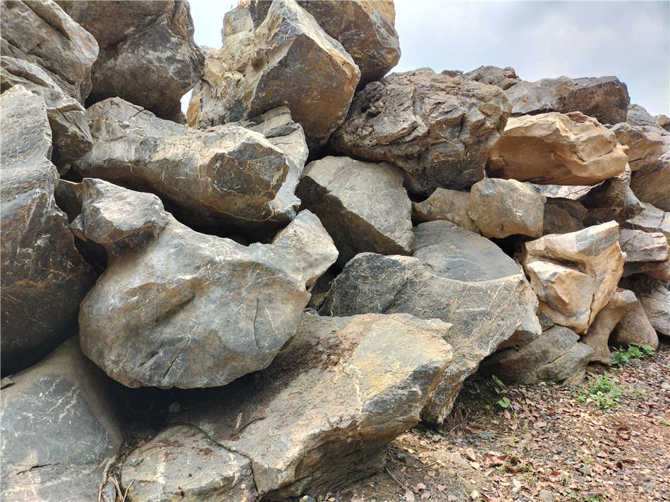 庭院景观假山石 公园草坪点缀观赏石 太湖石厂家园林石