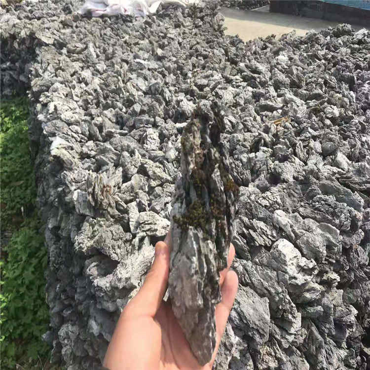青龙石盆景假山石 鱼缸造景园林小英石 水族馆用料青龙石